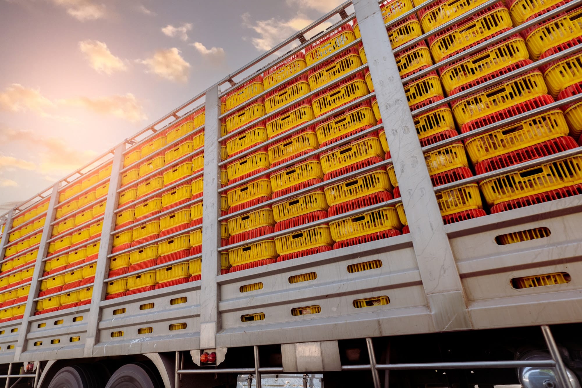 Réduire les coûts de transport dans l’industrie agroalimentaire : approches efficaces.